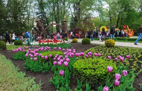 Власти Черкесска продолжат благоустройство крупнейшего парка Карачаево-Черкесии "Зеленый остров"