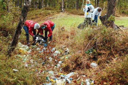 Волонтеры очистили более 1200 гектар побережья Байкала в ходе ключевой акции экомарафона "360" минут