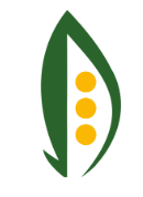 Дальневосточный государственный аграрный университет